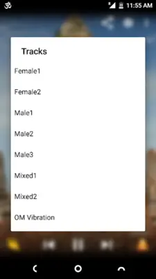 Om Chants HD android App screenshot 2